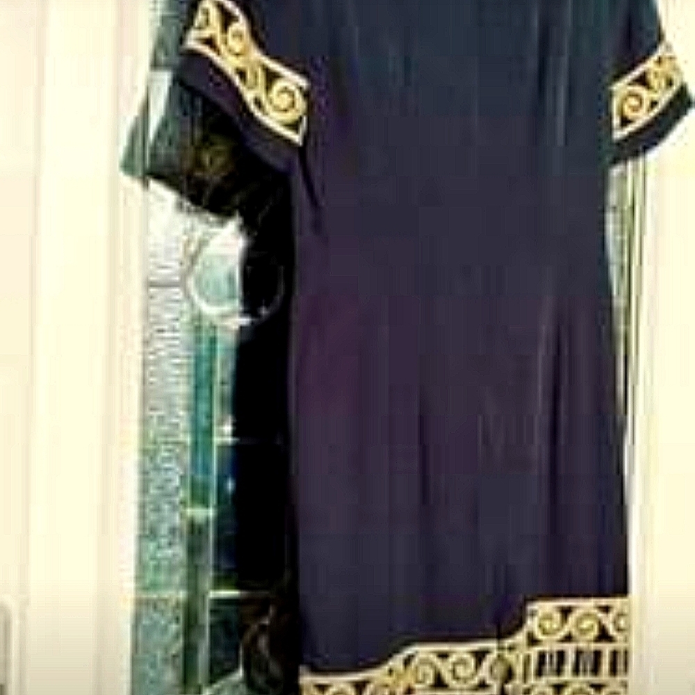 NEW MISTY LANE STRAIGHT NAVY BLUE DRESS SIZE 4